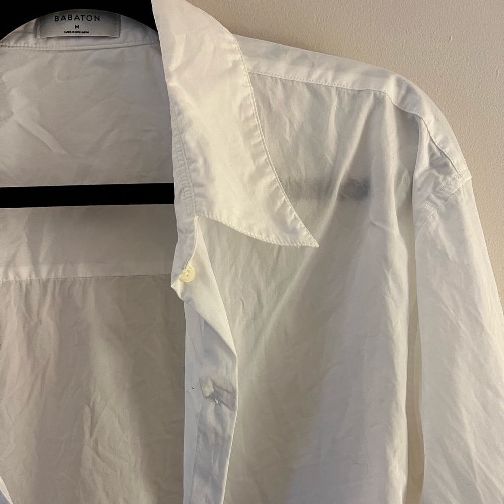 Babaton white button down shirt from Aritzia size medium.